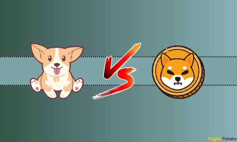 We Asked ChatGPT if BONK Can Replicate Shiba Inu’s Previous Bull Run