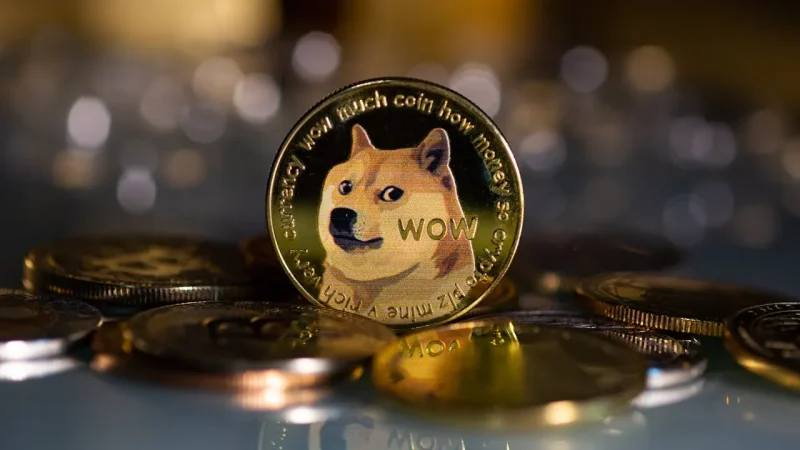 Dogecoin Sweepstakes Case Heads to the Supreme Court