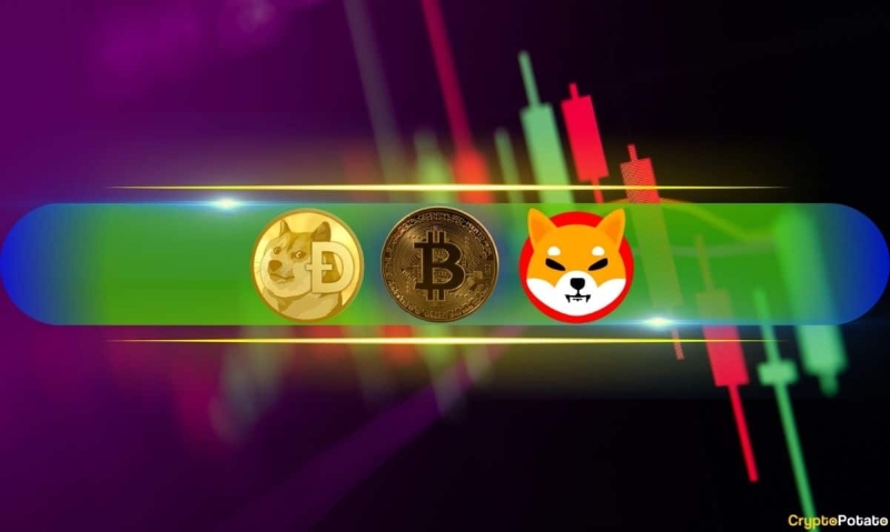 Bitcoin Slumps to 10-Day Lows, DOGE and SHIB Among the Double-Digit Losers (Weekend Watch)