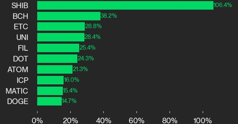 SHIB’s 106% Move Higher Led CoinDesk 20 Gainers Last Week: CoinDesk Indices Market Update