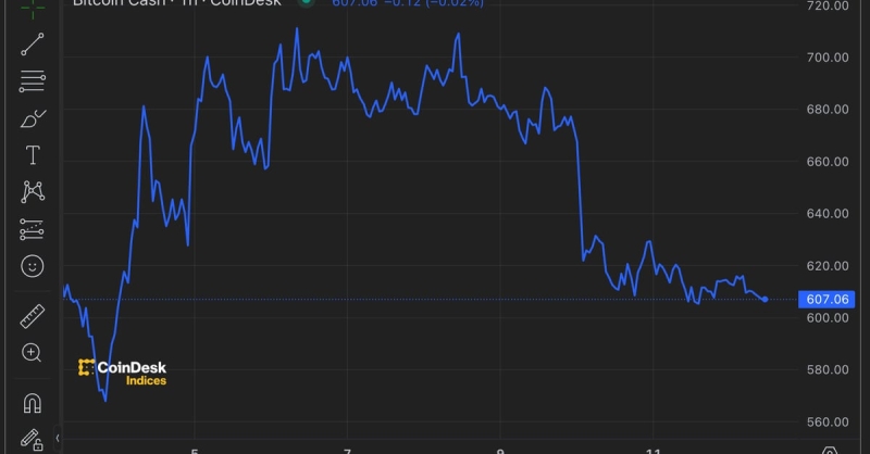 Bitcoin Cash Sends Bitcoin Traders Warning Sign About Halving