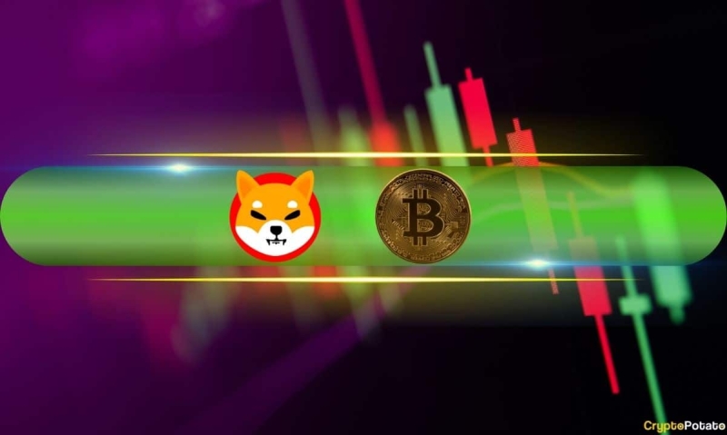 Shiba Inu (SHIB) Explodes 18% Daily, Bitcoin (BTC) Taps $65K (Weekend Watch)