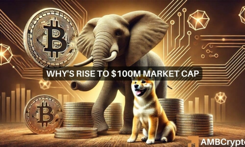 WHY memecoin: Can it be the next Dogecoin after touching $100M?