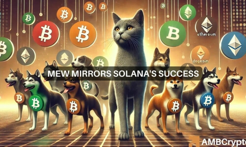 Why Solana’s MEW might be your leading memecoin choice today