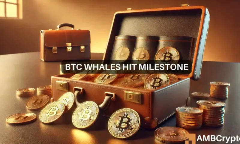 2-year high for Bitcoin’s whales– What does that mean for you?