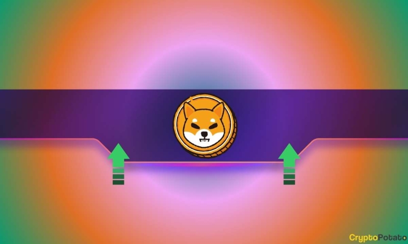 Why Has Shiba Inu’s (SHIB) Price Skyrocketed by 25% Today?