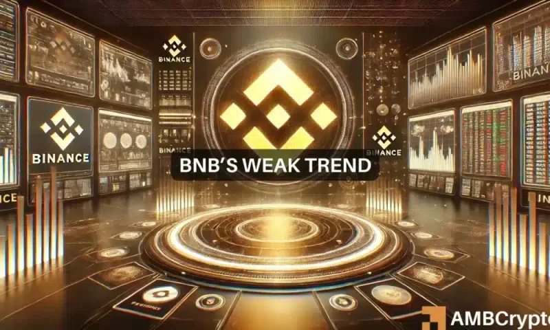 XRP’s explosive increase leaves Binance reeling: Will BNB recuperate?