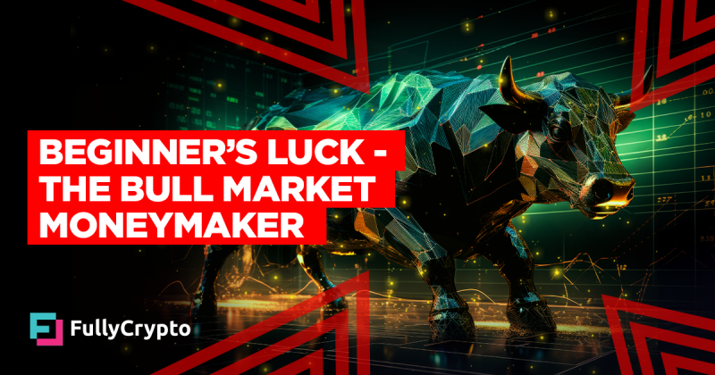 Newbie’s Luck– the Bull Market Moneymaker