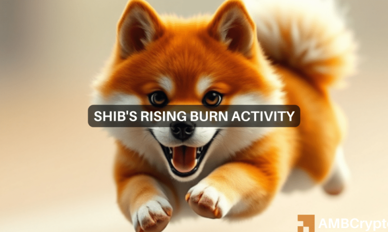 Shiba Inu: Is SHIB a sure thing in December? Examining …