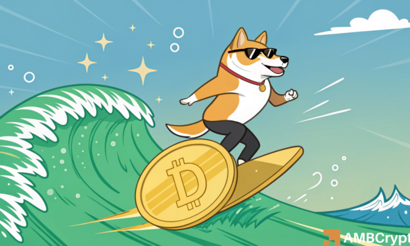 Dogecoin: Whales press rate up, is $0.5 next for DOGE?