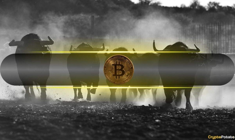 Bitcoin’s (BTC) Bull Market Remains Intact Amid Temporary Slowdown: CQ